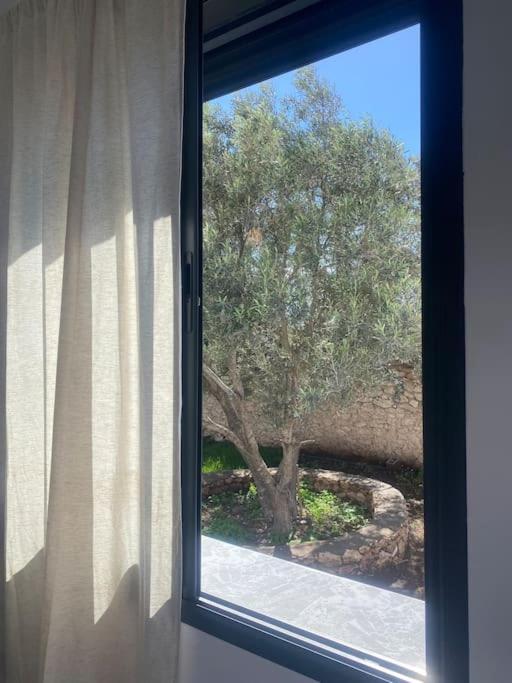 Al Ghar Villa Gattina מראה חיצוני תמונה